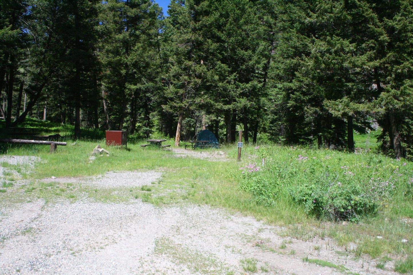Camper submitted image from Slough Creek Campground — Yellowstone National Park - 2