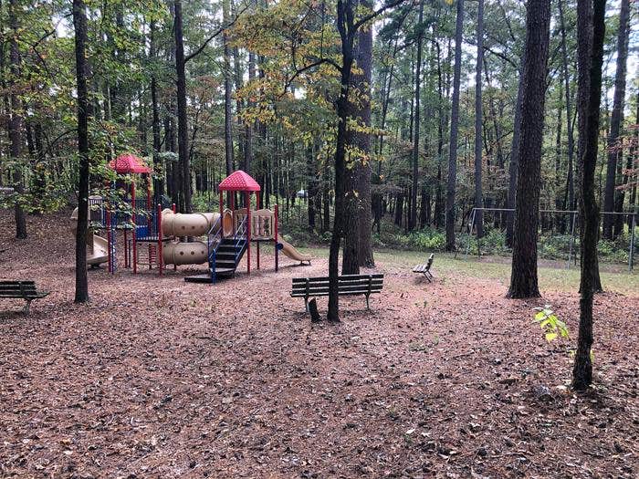 Camper submitted image from Arlie Moore - De Gray Lake - 4