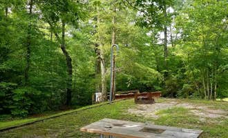 Camping near Great Meadows: Bear Creek Horse Camp — Big South Fork National River and Recreation Area, Revelo, Tennessee