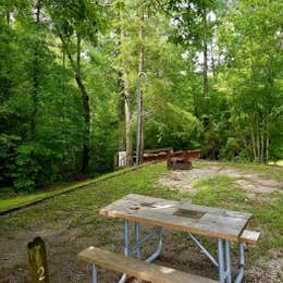 Public Campgrounds: Bear Creek Horse Camp — Big South Fork National River and Recreation Area