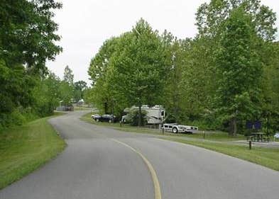 View All