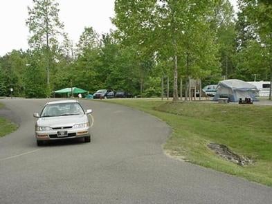 Camper submitted image from Blue Heron Campground — Big South Fork National River and Recreation Area - 3