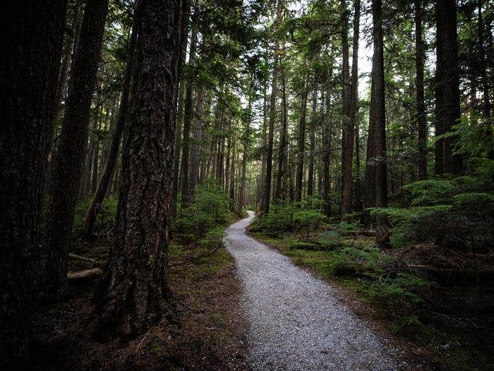 Camper submitted image from Apgar Group Sites — Glacier National Park - 4