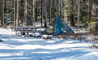 The Dyrt's photo at Apgar Group Sites — Glacier National Park near Glacier National Park