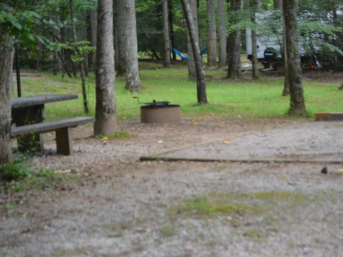 Camper submitted image from Cherry Hill Campground - 2