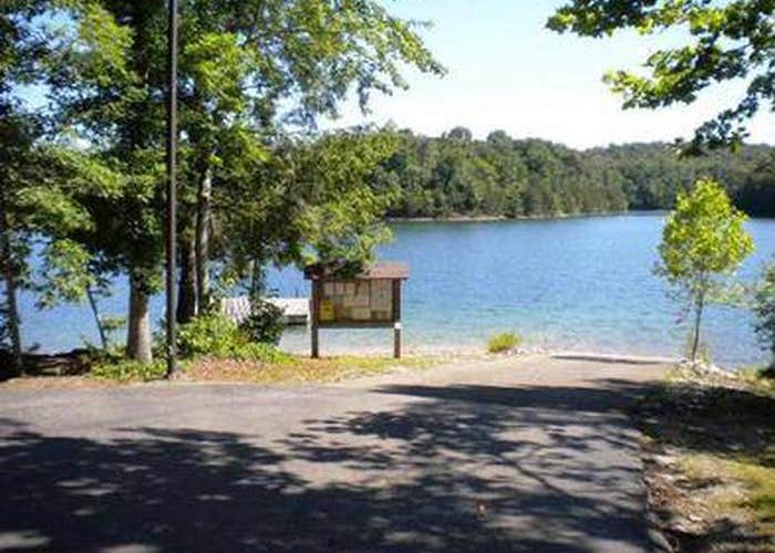 View All
