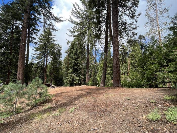 Camper submitted image from Crystal Springs Campground — Kings Canyon National Park - 2