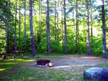 Camper submitted image from Hastings Campground - 1