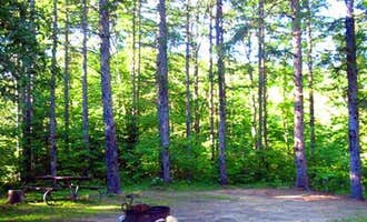Camping near Wild River Wilderness Area: Hastings Campground, Gilead, Maine