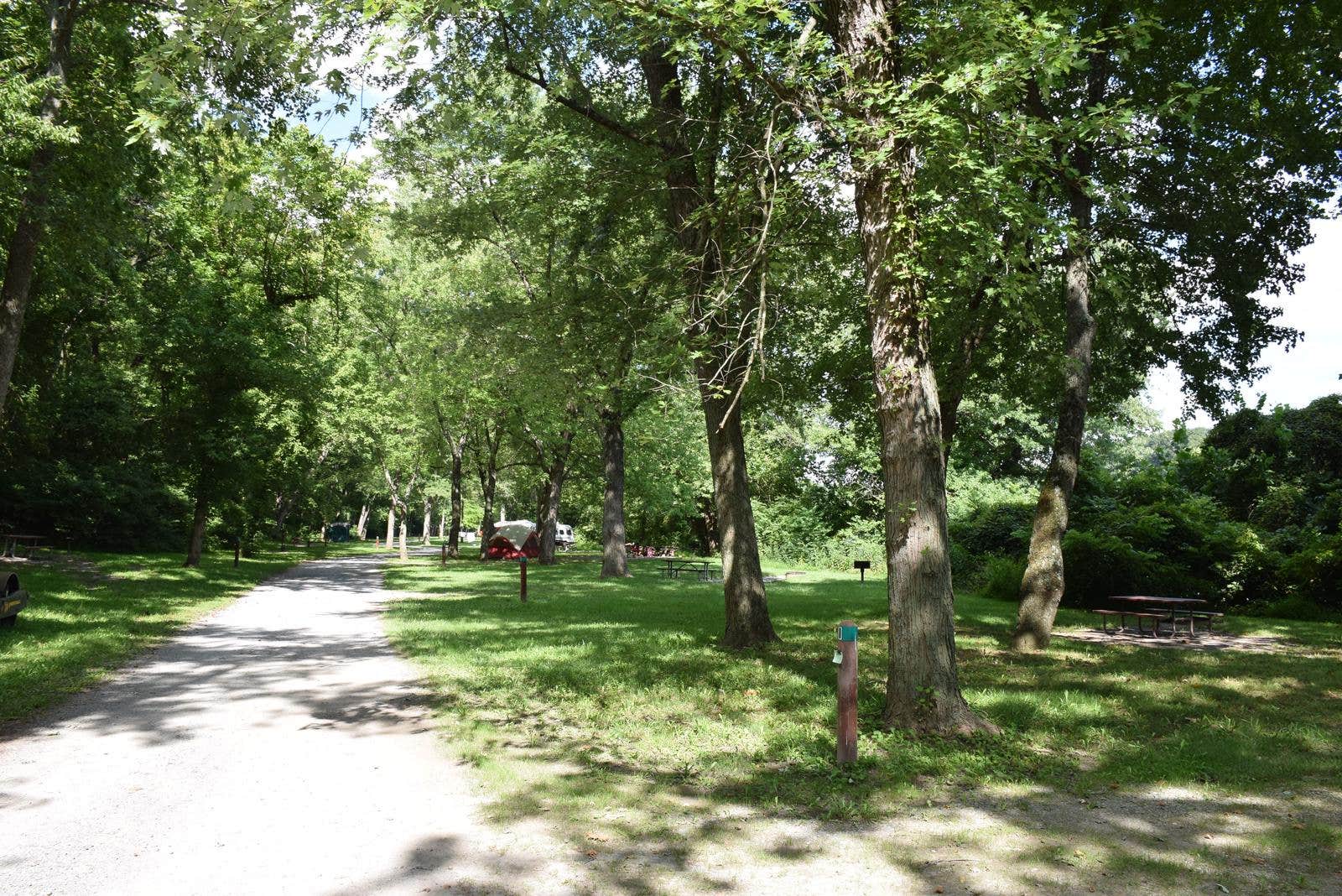 Camper submitted image from McCoys Ferry Campground — Chesapeake and Ohio Canal National Historical Park - 2