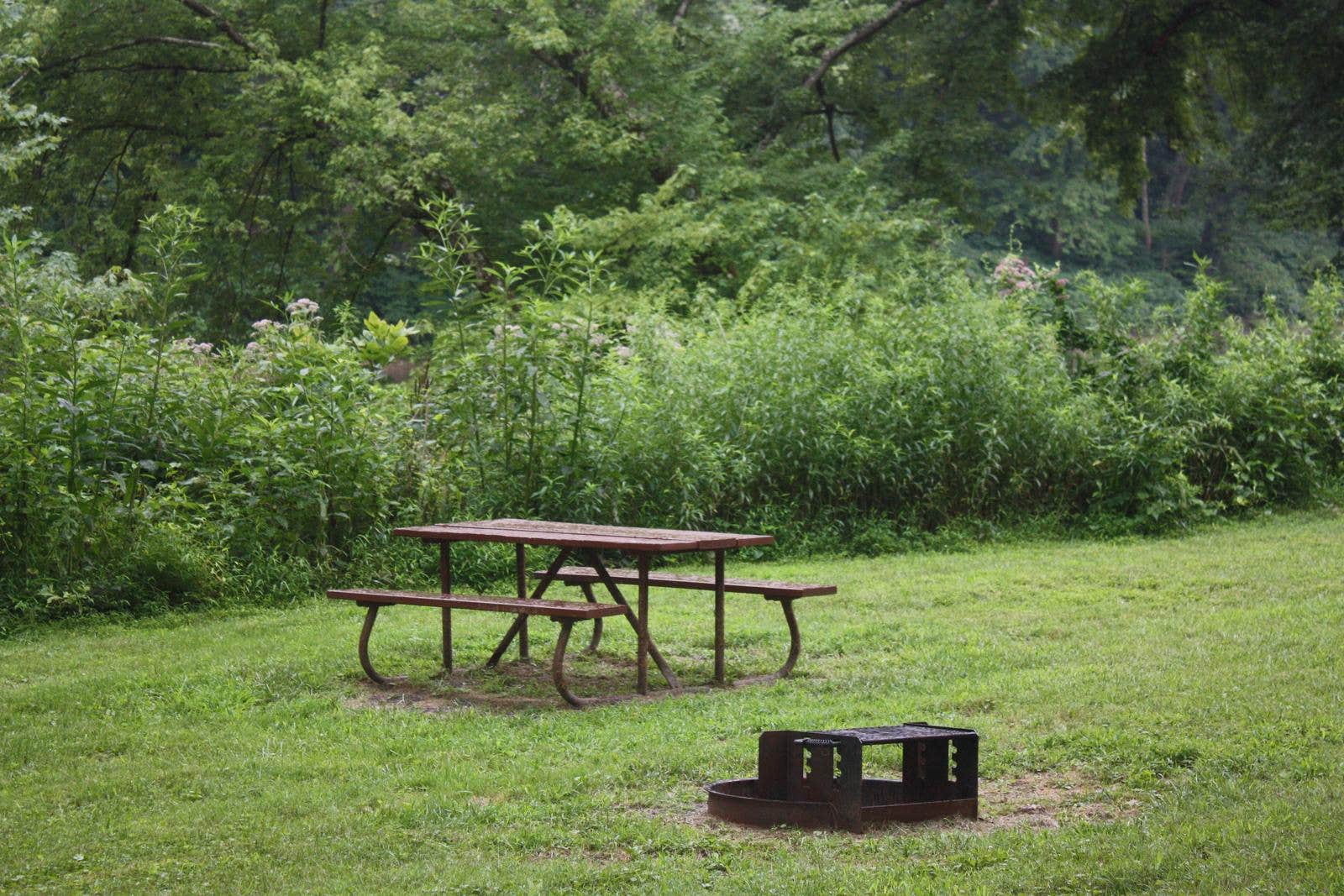 Camper submitted image from Spring Gap Campground — Chesapeake and Ohio Canal National Historical Park - 2