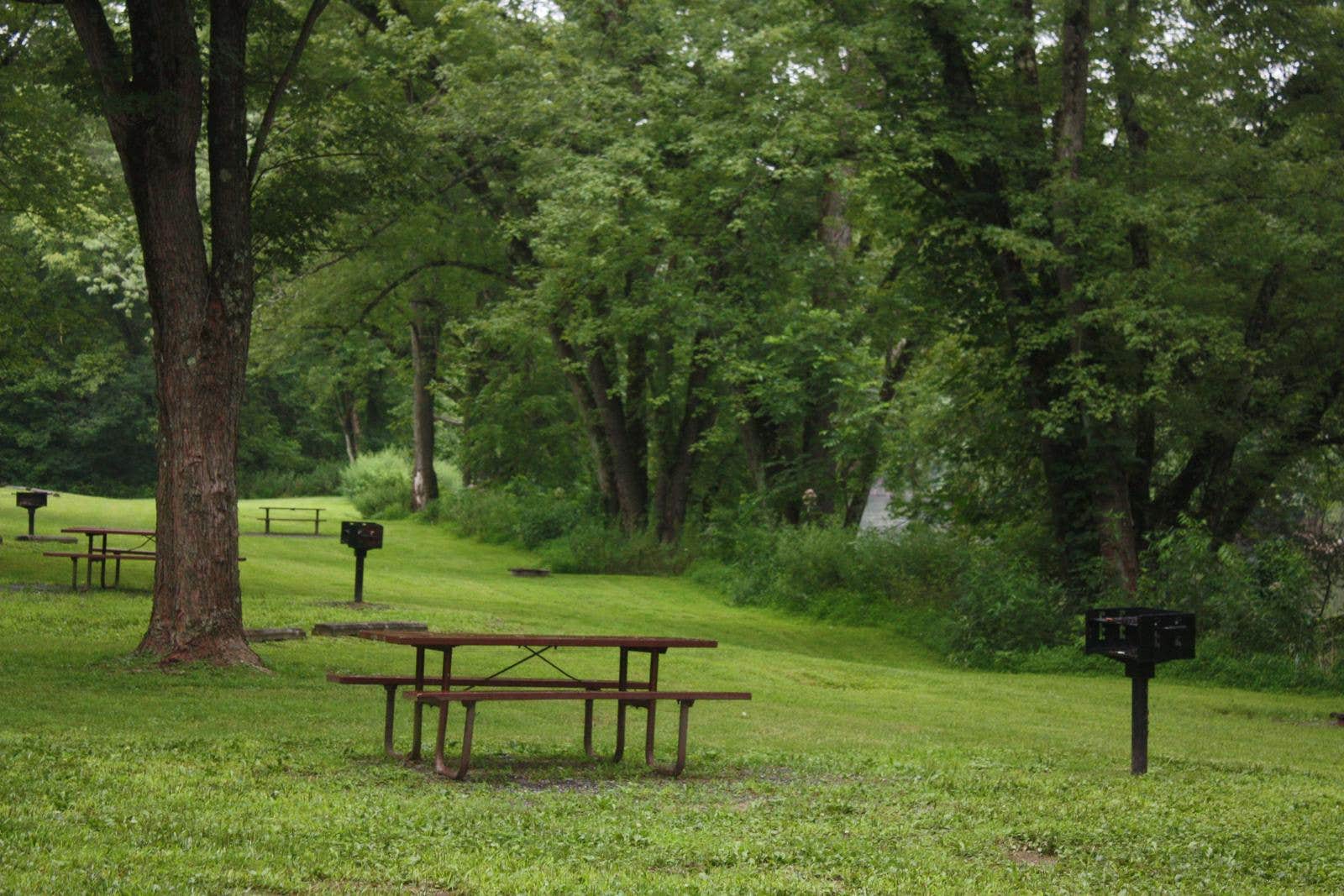 Camper submitted image from Spring Gap Campground — Chesapeake and Ohio Canal National Historical Park - 3