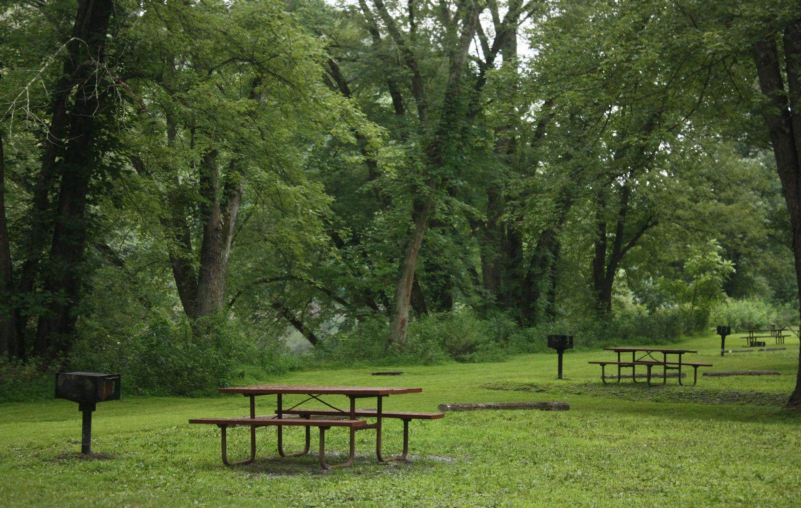 Camper submitted image from Spring Gap Campground — Chesapeake and Ohio Canal National Historical Park - 2