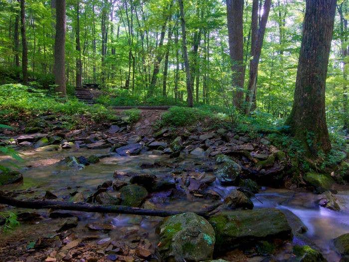 Escape to the Serene: Unwind at Catoctin Mountain's Owens Creek Campground