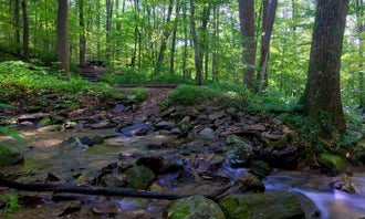 Camping near Mother Earth Organic Farm: Owens Creek Campground — Catoctin Mountain Park, Sabillasville, Maryland
