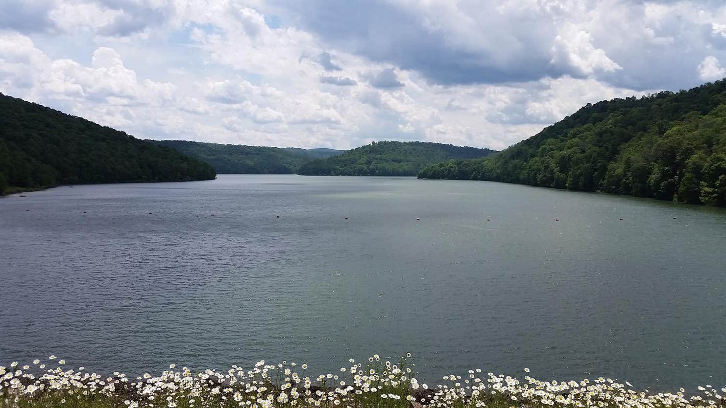 Mill Run Recreation Area The Dyrt