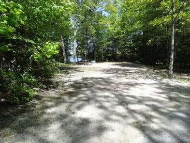 Camper submitted image from Brevoort Lake Campground - 1