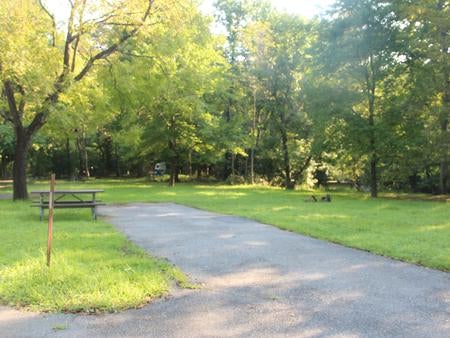 Camper submitted image from Greenbelt Park Campground — Greenbelt Park - 2