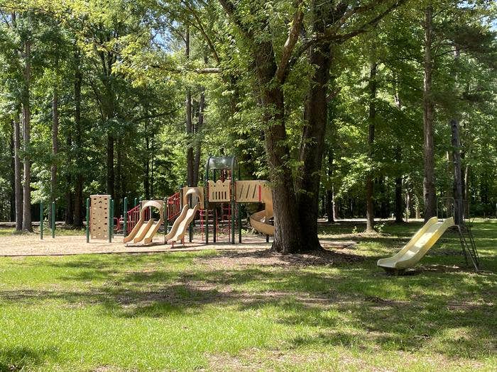 Camper submitted image from COE Alabama River Lakes Chilatchee Creek Campground - 1