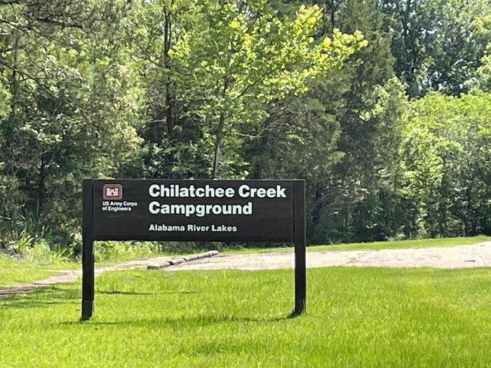 Camper submitted image from COE Alabama River Lakes Chilatchee Creek Campground - 5