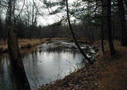 Camper submitted image from Gleasons Landing - 2