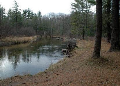 Camper submitted image from Gleasons Landing - 2