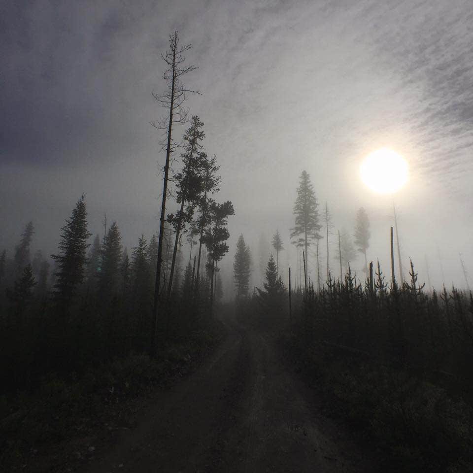 Camper submitted image from Kintla Lake Campground — Glacier National Park - 4