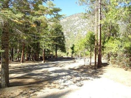Camper submitted image from Canyon View Group Sites — Kings Canyon National Park - 2