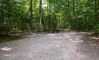 Camping near Colwell Lake Campground: Pete's Lake Campground, Wetmore, Michigan