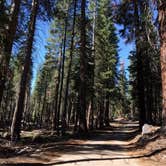 Review photo of Yosemite Creek — Yosemite National Park by Ellen D., September 12, 2016