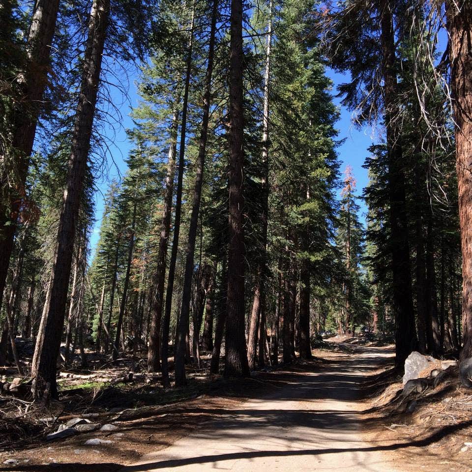 Camper submitted image from Yosemite Creek — Yosemite National Park - 2
