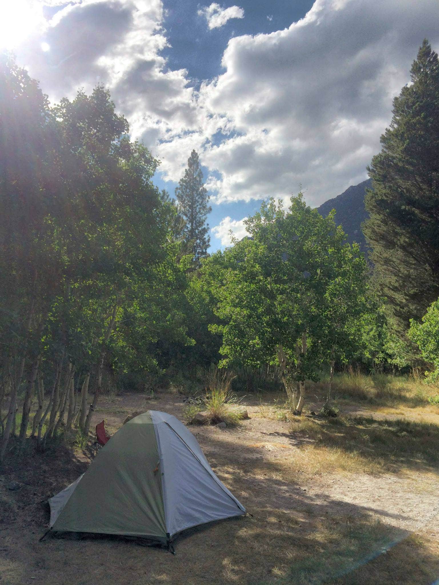 Camper submitted image from Lower Lee Vining Campground - 5