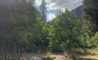 Ellen D.'s photo at Lower Lee Vining Campground near Lee Vining, CA