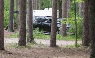 Camping near Healy Lake State Forest Campground: Seaton Creek Campground, Mesick, Michigan