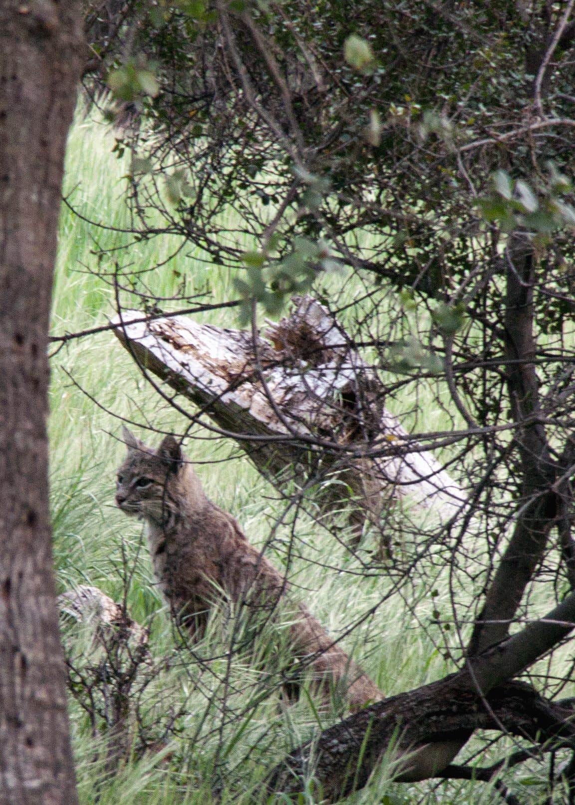Camper submitted image from Pinnacles Campground - Brooks Lake - 2