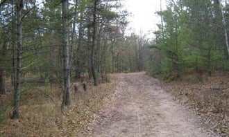 Camping near Alcona Park : South Branch Trail Camp Group Site, Glennie, Michigan