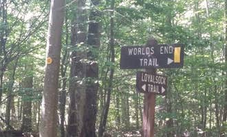 Camping near West Creek Campground: Worlds End State Park Campground, Forksville, Pennsylvania