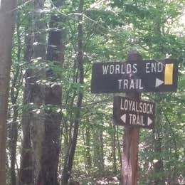 Worlds End State Park Campground