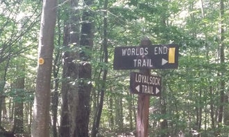 Worlds End State Park