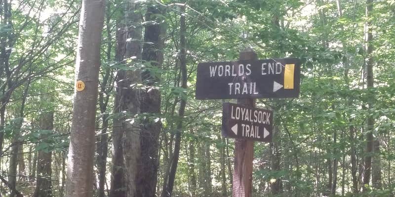 Camper submitted image from Worlds End State Park Campground