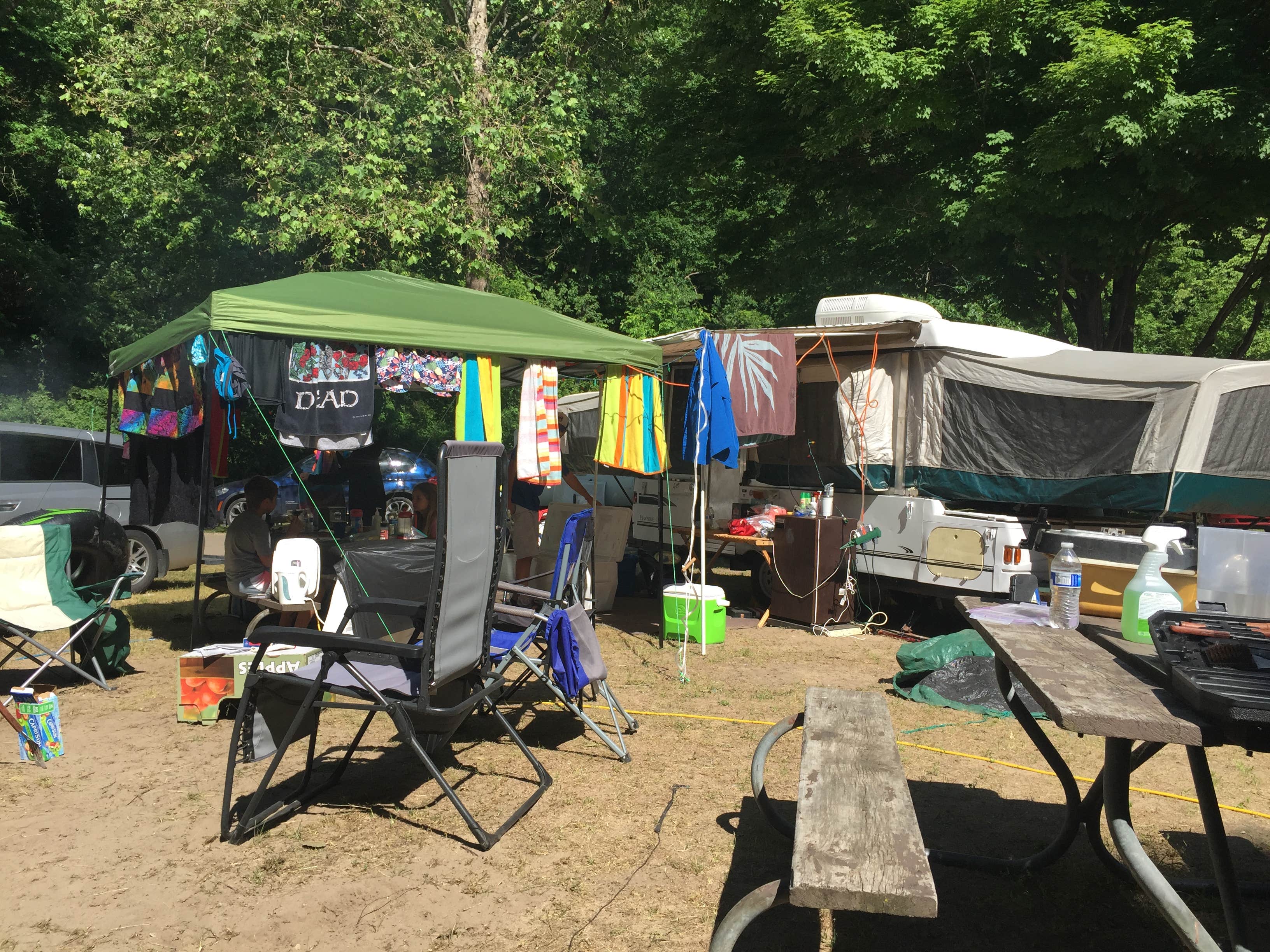 Camper submitted image from Warren Dunes State Park Campground - 3