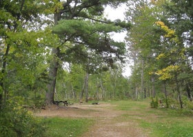 Fenske Lake Campground