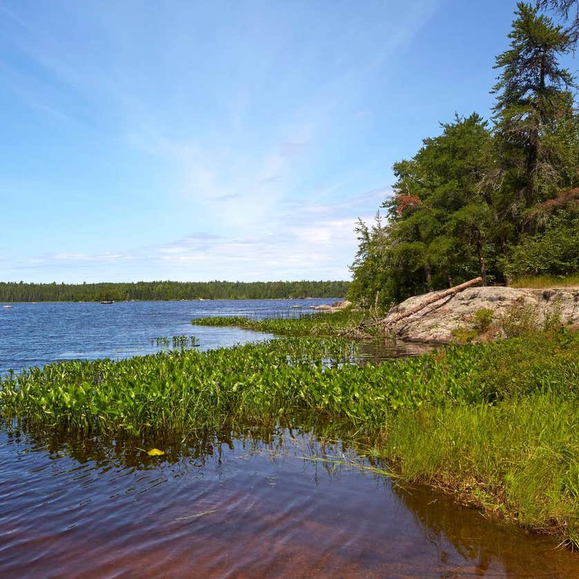 Lake Jeanette Campground & Backcountry Sites Camping | Crane Lake, MN ...