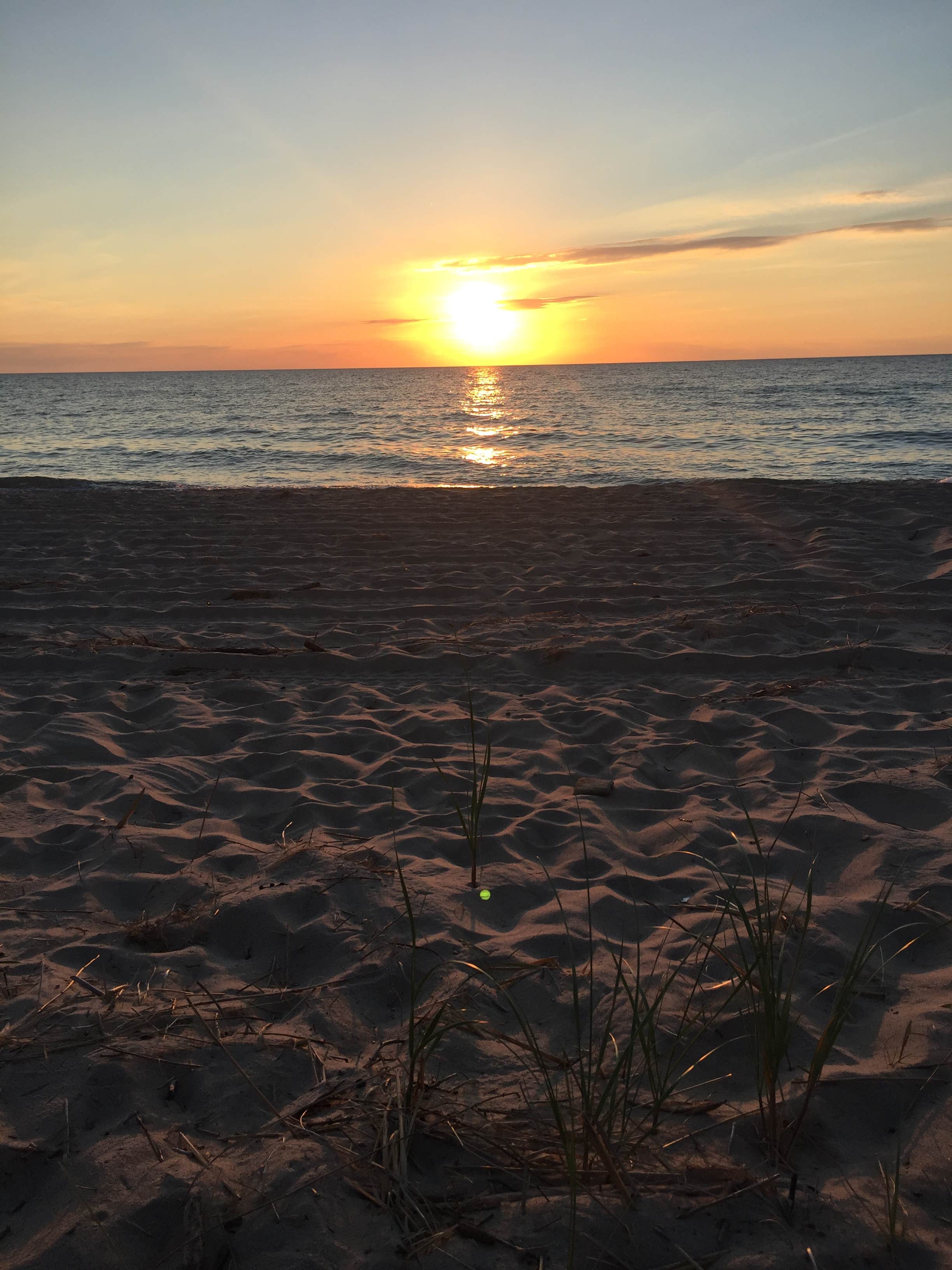 Camper submitted image from Warren Dunes State Park Campground - 5