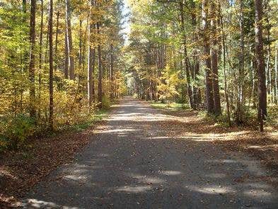 Camper submitted image from Norway Beach Loop - 4