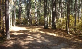Camping near Marclay Point Resort Campground / RV Park: Norway Beach Loop, Cass Lake, Minnesota