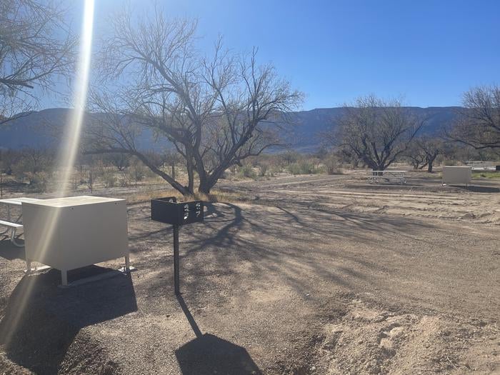 Camper submitted image from Cottonwood Campground — Big Bend National Park - 2