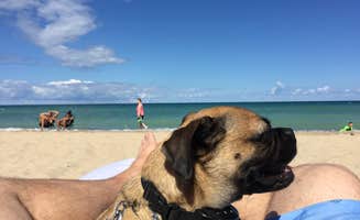 Christian V.'s photo of camping with pets at Warren Dunes State Park Campground near Michigan City, IN