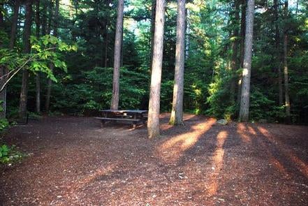 Camper submitted image from Sawbill Lake Campground - Superior National Forest - 2