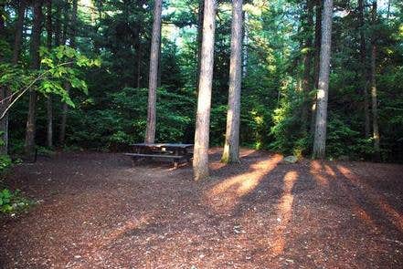 Camper submitted image from Sawbill Lake Campground - Superior National Forest - 3
